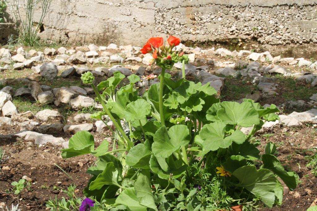 Barone 4 You Šibenik Exterior foto